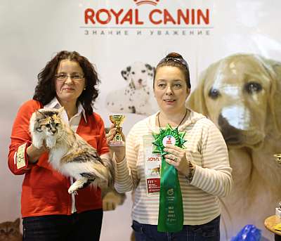   18-19  2014 WCF- 3-154-169A4028 copy.jpg
